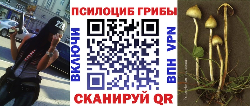 Купить  Задонск  Галлюциногенные грибы MAGIC MUSHROOMS 